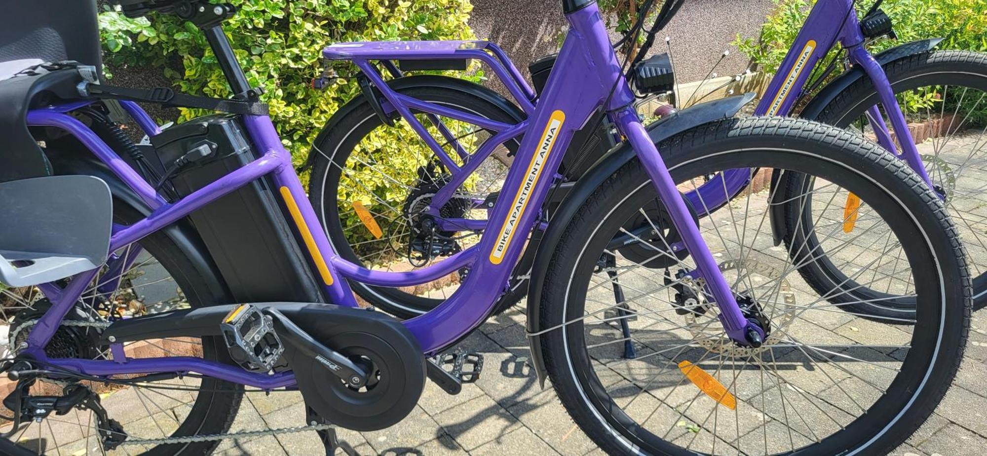 Zwei Schlafzimmer Ferienapartment Anna Am Stubenbergsee Inklusive Vier E-Bikes エクステリア 写真
