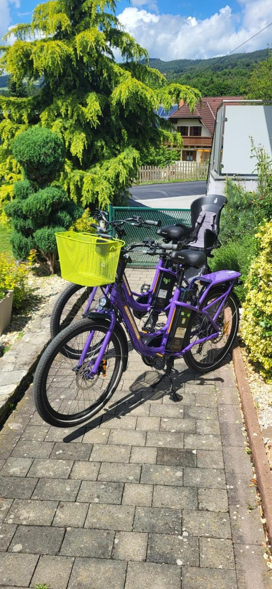Zwei Schlafzimmer Ferienapartment Anna Am Stubenbergsee Inklusive Vier E-Bikes エクステリア 写真
